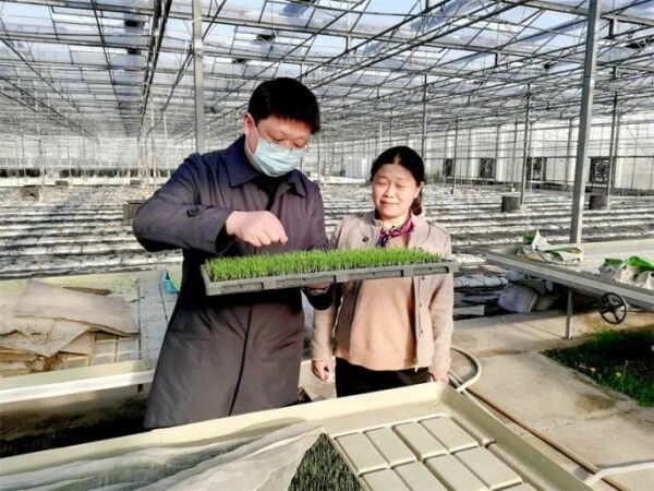 科技守护粮仓初心筑梦青禾记江苏省最美科技工作者张国良