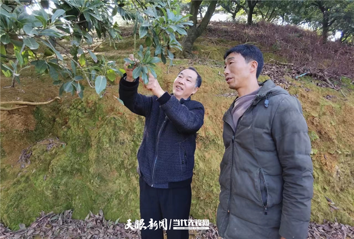 贵州省农技联：助力乡村振兴 书写新时代“三农”工作新篇章