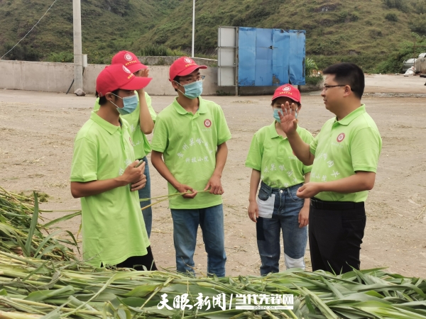 贵州关岭肉牛科技小院教师陈超在试验基地指导学生1_副本.jpg
