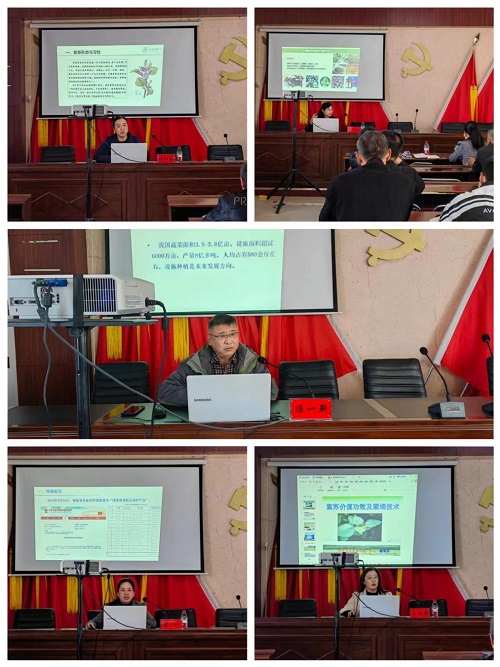 桦南县科协特邀紫苏产业顾问组开展送科技下乡活动