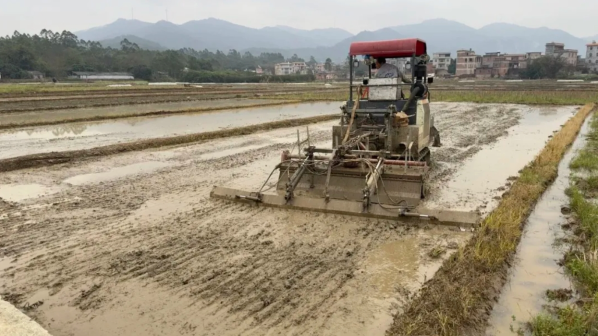 35学雷锋助春耕广西玉林市科协农技协开展学雷锋服务千村活动