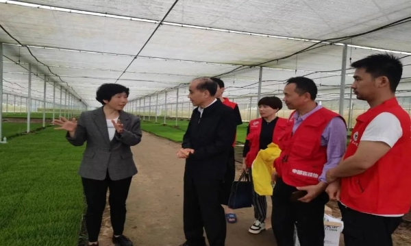 福建省农技协理事长一行赴浦城忠信石陂镇开展水稻种业和科技小院建设