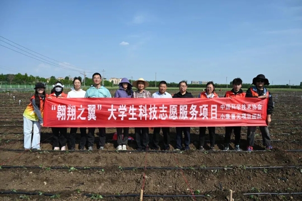 农学专家齐聚汝阳，助力乡村甘薯种植技术发展