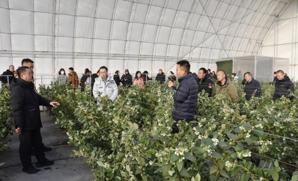 微信图片_20251205154923