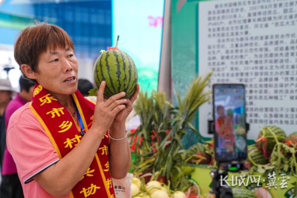 新乐2
